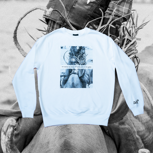 James 4:6-7 Sweater