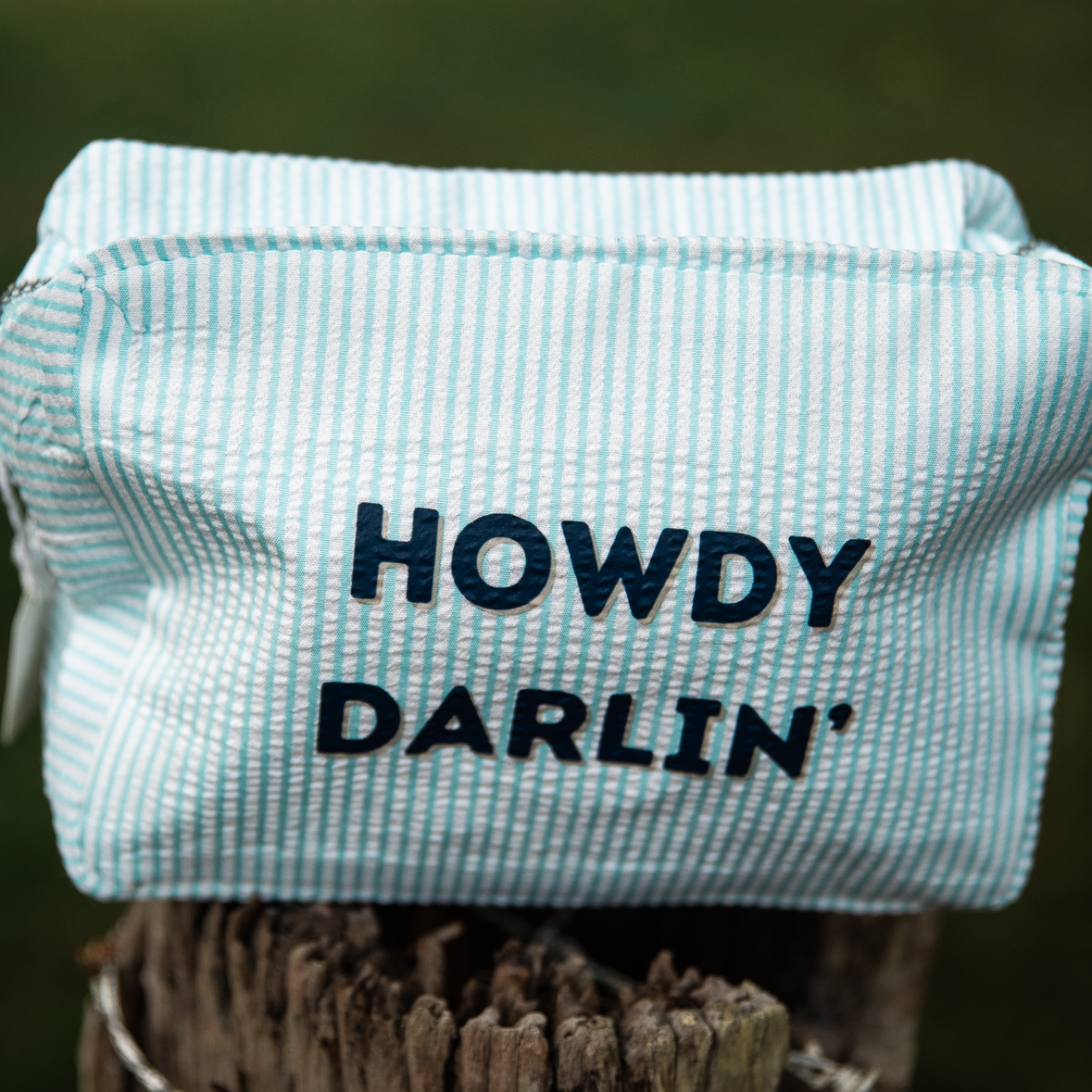Howdy Darlin Makeup Bag- Blue