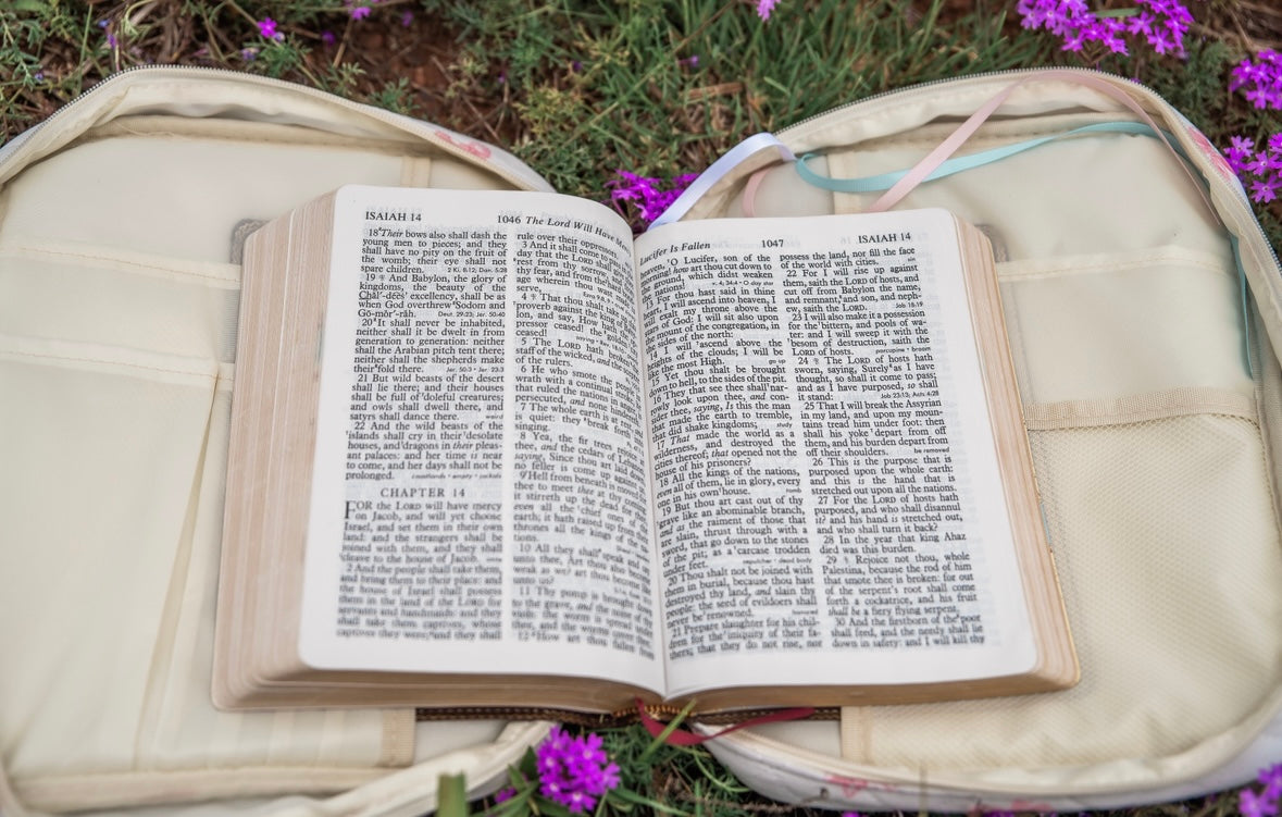 Bible Case (Pink Floral)